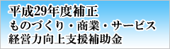 【平成29年度補正】ものづくり・商業・サービス経営力向上支援補助金